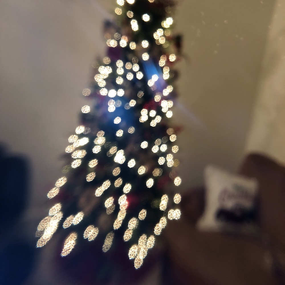 Meet your Posher, Baylee